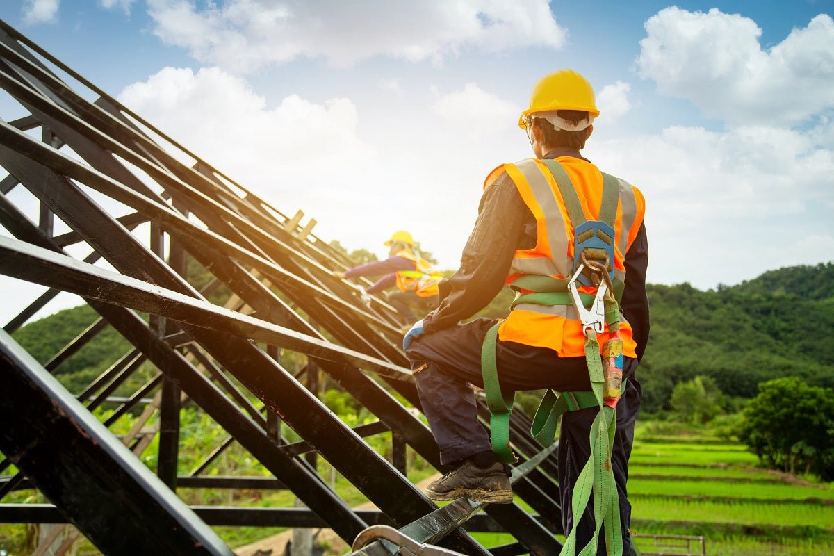 Fall Proctection Fall Protection Harnesses & Lanyards | American Ladders & Scaffolds ...