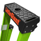 Little Giant Sentinel