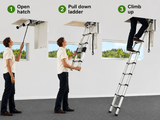 American Ladders & Scaffolds - Telesteps 1000L Attic Ladder