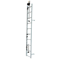 Safewaze Ladder Climb System, 4 - Person Complete Kit - American Ladders & Scaffolds