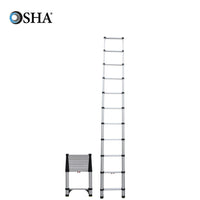 Telesteps 14/16 FT REACH TELESCOPING EXTENSION LADDER - American Ladders & Scaffolds