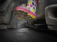 WeatherTech Floor Liner Starting At - American Ladders & Scaffolds
