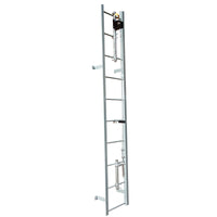 Safewaze 2-Person Ladder Climb System, Complete Kit
