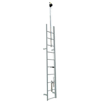 Safewaze 2-Person Extended Top Ladder Climb System, Complete Kit